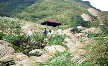 草嶺古道好「芒」!觀景亭雪上飛,龜山島佛光再現,芒花季萬人爭睹,大里海邊放鬆又放空