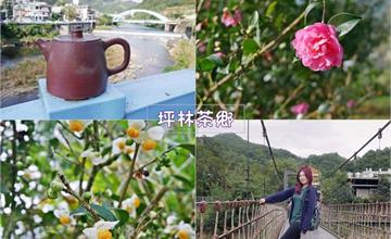 新北｜坪林茶鄉一日遊，坪林老街、石頭屋古厝、觀魚步道、生態園區，好山好水輕碳小旅行～