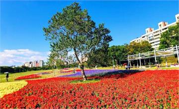 台北古亭河濱公園：台版富良野絕美花海，搭捷運就能到！紀州庵與公館商圈必吃美食一日遊