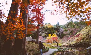 東京近郊的賞楓秘境，養身秘湯、絕品鮟鱇鍋、珍稀星霜柿，願望通通滿足