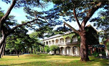 花蓮│松園別館pinegarden1943，二層樓仿洋式拱廊建築，松樹成蔭文藝景點