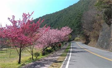  春節連假到哪玩兒？國內外九大景點＋2020請假攻略 新年走春不無聊 