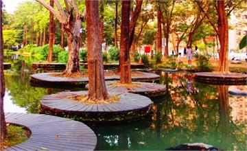 高雄｜大東濕地公園，市區隱藏版忘憂森林