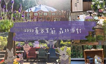 2020薰衣草節開跑！伴著滿山紫色浪漫，來森林住一晚，包下整個薰衣草森林享受早晨野早餐。