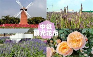 台中｜2020中社觀光花市花海，鬱金香花海綻放中！台中推薦IG拍照打卡假日約會親子花海