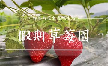 花蓮│假期草莓園，近兆豐農場享親子採草莓樂趣的果園
