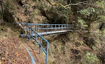 嘉義｜石山引水道，享受森林寧靜與多樣地景地貌