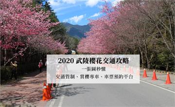 2020武陵櫻花交通攻略，一張圖秒懂！交通管制、賞櫻專車路線（國光客運、豐原客運）、車票預約平台