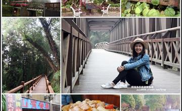 嘉義｜漫步阿里山杉林間，來去青山別館住一晚，大啖山賓餐廳石頭火鍋