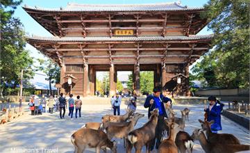 10大奈良景點旅遊路線＆交通提案攻略：奈良一日遊二日遊這樣玩！