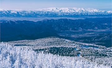 日本山形│漂浮的山，冰包裹的樹，雪覆蓋的大地--山形藏王樹冰