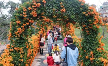 新北｜免費親子公園，鶯歌永吉公園，4600坪大場域、炮仗花、溜滑梯、3D立體彩繪