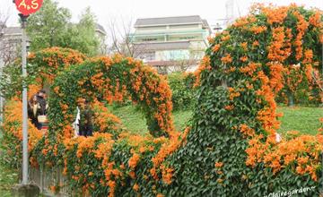 新北｜鶯歌永吉公園，炮仗花開好開滿，立體3D彩繪互動趣