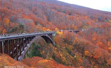 青森│城倉大橋：綿延不盡紅葉美景，賞楓推薦交通停車＆順遊景點