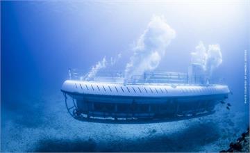 【美國】盤點夏威夷歐胡島必去潛水體驗：浮潛賞海豚、潛水艇之旅、近距離賞鯊魚，體驗流程、預約方式整理