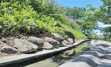 我的眼睛怎麼了！水往上流奇觀：東海岸旅遊必經小景點，反地心引力的視錯覺～