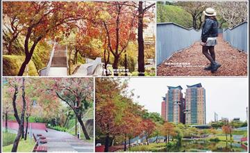 台中｜春遊免門票景點，超唯美秋紅谷景觀生態公園