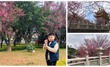 新北林口｜林口竹林寺：不只是信仰中心，櫻花季時更是美不勝收！
