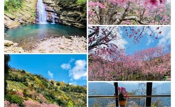 2020桃園北橫櫻花季|桃園絕美秘境瀑布|拉拉山免門票賞櫻秘境|拉拉山賞櫻超&#20540;一日遊行程推薦
