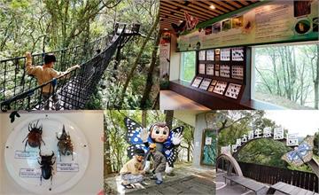 桃園｜拉拉山親子旅遊景點，巴陵古道生態園區，漫步森林步道、吸取芬多精、觀察昆蟲親近大自然