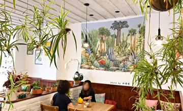 苗栗｜植感咖啡館 BotanicalCafe，充滿綠色植物與多肉的質感咖啡廳，度過悠閒午後！