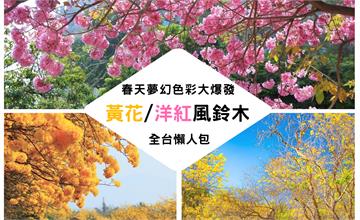 春天夢幻大爆發！全台風鈴木懶人包