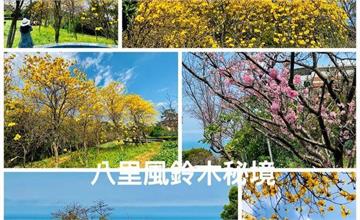 新北八里｜愛維養護中心：隱藏版天空步道遠眺台北港，風鈴木櫻花木棉+海景一次GET！