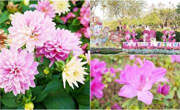 台北｜2020杜鵑花季，大安森林公園百花齊放！