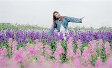 彰化｜隱藏在北斗的花田秘境，紫羅蘭小花田，四色漸層浪漫粉紫超漂亮
