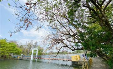 高雄｜台灣西湖、高雄後花園：澄清湖風景區～水光瀲灩的觀湖步道，五彩斑斕的千樹林，還有浪漫幸福玫瑰園