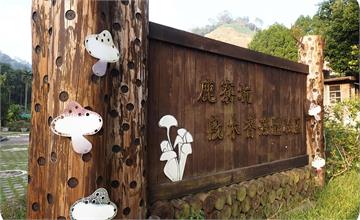 新竹芎林｜鹿寮坑自行車逍遙遊～茄苳老樹、石爺石婆、現採香菇！