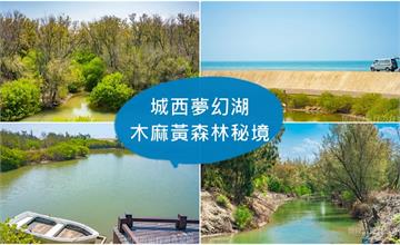 台南｜城西夢幻湖：城市裡的森林秘境，原來騎車就可以到！