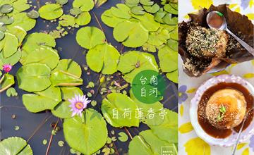 台南白河｜白荷蓮香亭：蓮子入菜平價好滋味，夏季限定坐大王蓮體驗！