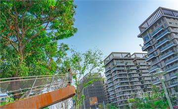 台南│水交社文化園區：在城市暸望台上，聽風說眷村的故事