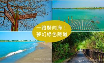 台南｜安平堤頂自行車道：從樹林騎到海邊，一路向海的夢幻綠色隧道！