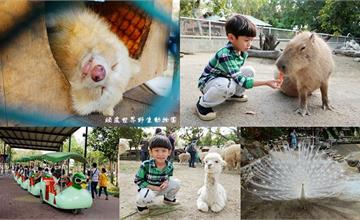 台南｜頑皮世界野生動物園：餵食水豚、和可愛動物近距離互動！