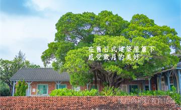 台南｜鹽田生態文化村：走訪舊日式建築聚落&瓦盤鹽田金色夕陽［四草野生動物保護區、台江鯨豚館與安順鹽場遺跡］