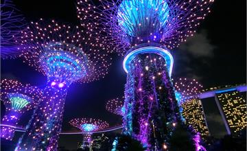 新加坡｜濱海灣花園超級樹燈光秀、花穹、雲霧林