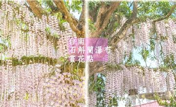 台南｜白河石斛蘭瀑布，小村莊裡的浪漫粉紅花海，充滿驚喜的鄉間小路