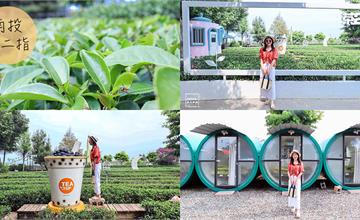 南投｜茶二指故事館：隱身在山中的綠色茶園秘境，IG網美打卡景點！