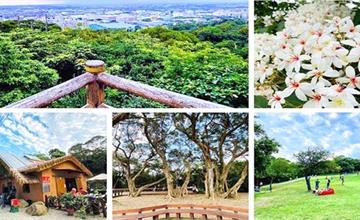桃園療癒步道：五酒桶山海山之路，享受背山面海擎天大草坪觀景之美！親民好走登山步道再加1