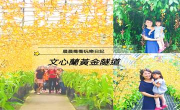宜蘭｜文心蘭黃金隧道：期間限定金黃色隧道，隱藏版花牆好好拍！