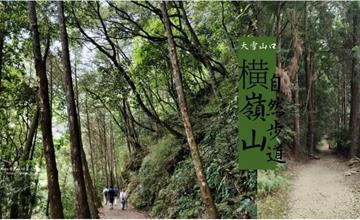 台中｜大雪山口-橫嶺山自然步道 ,樹林之間漫遊著道路平緩之外! 非常涼爽