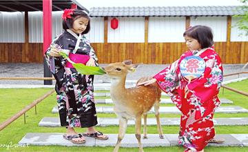 宜蘭三星｜張美阿嬤農場：全台唯一！穿和服在日式庭園裡餵梅花鹿