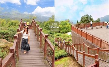 嘉義｜太興岩步道：小萬里長城！五分鐘輕鬆漫步茶葉田，賞層疊茶園與雲霧飄渺山嵐~