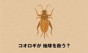 吃昆蟲健康救地球！無印良品推出入門蟲蟲零食蟋蟀仙貝 