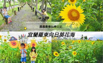 宜蘭｜期間限定【向日葵花海】！4萬5千朵向日葵，超美金黃花海，打卡拍照新景點！