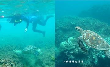 屏東｜小琉球陽光浮潛：與大海龜最近的接觸！跟綠蠵龜遨遊美麗海底世界，不會游泳也能玩的浮潛～