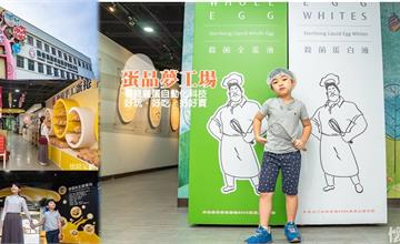 嘉義｜全台最大彩蛋樹在這！免門票的觀光雞蛋主題館，好吃好玩又好拍