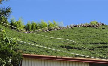 嘉義梅山｜二尖山步道：嘜走步道，享受碧綠茶園與群山環繞的清新美景